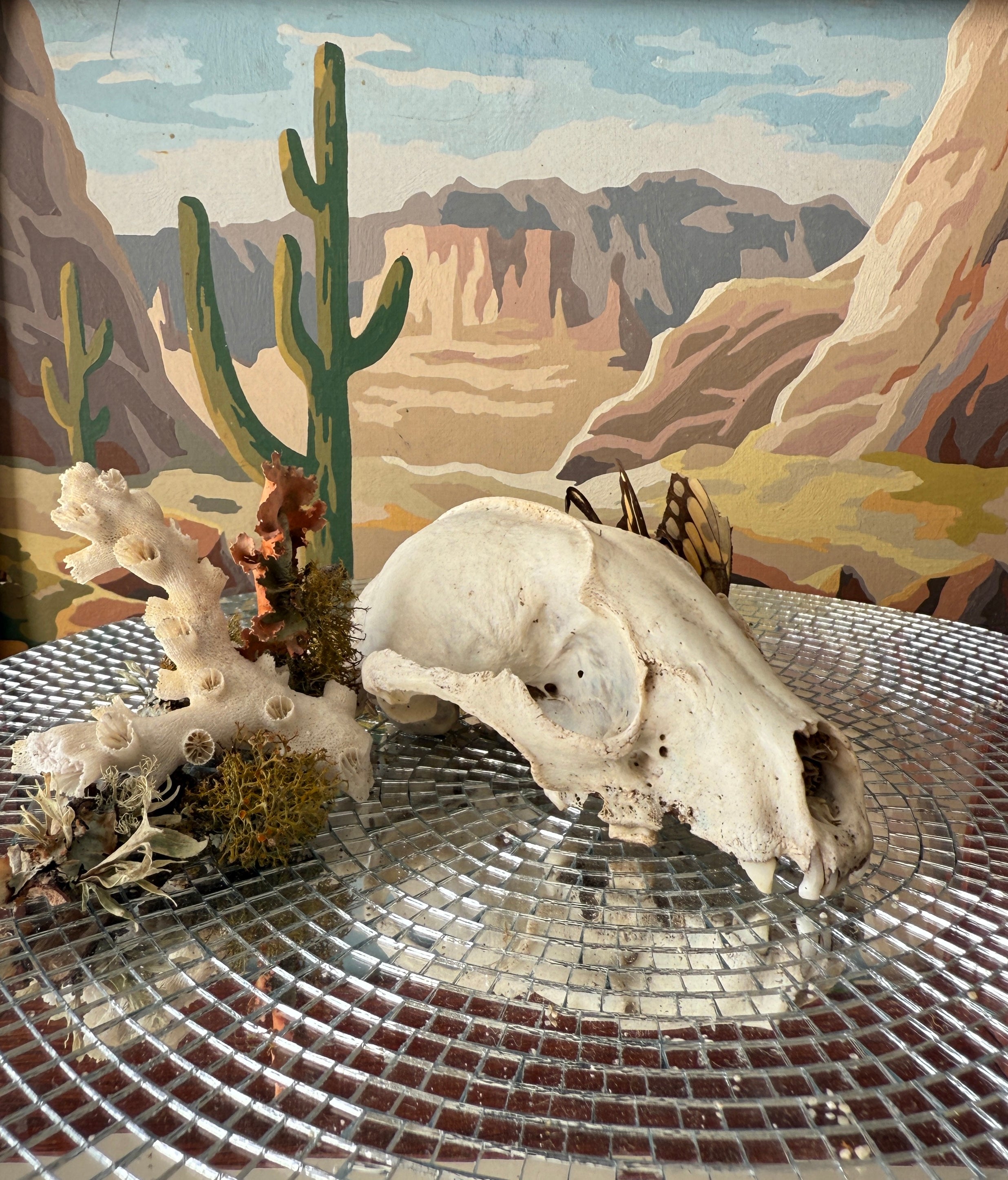 Desert landscape with cacti and skull on a metallic surface